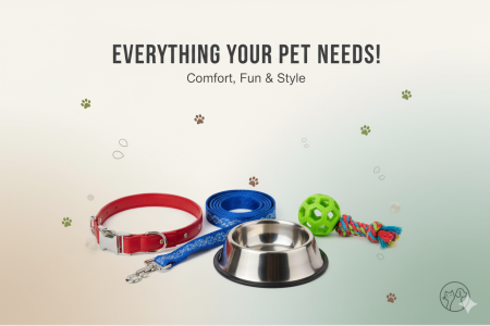 Essential dog accessories including durable collars, red leash, and chew toys.